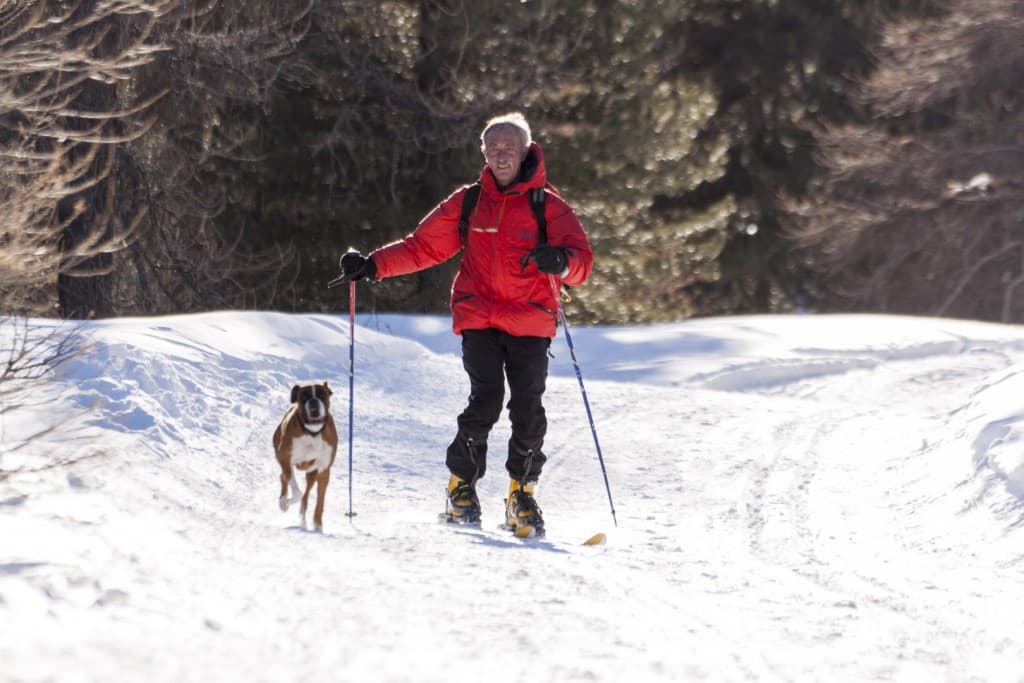 A skier with his dog are coming down from the Black Lake