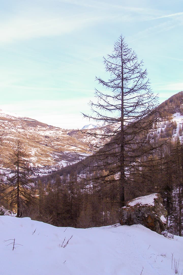 The valley of Cesana with snow-covered mountains and trees