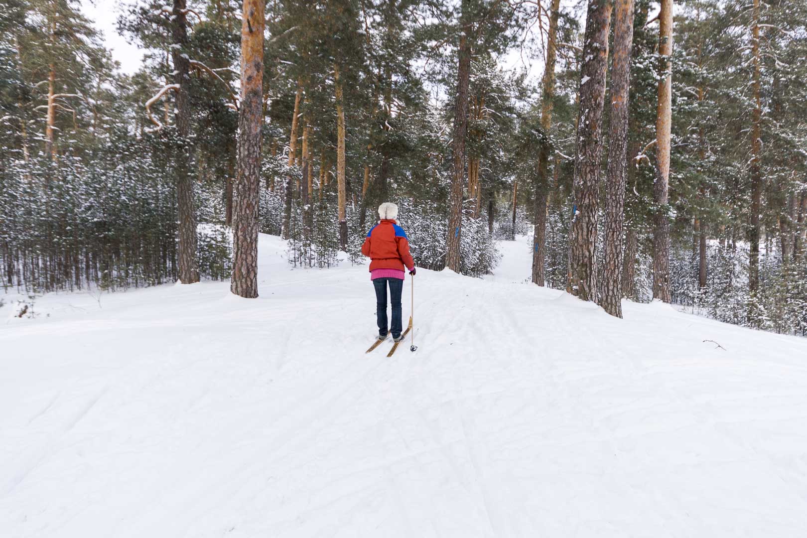 Cross Country Skiing Trail near Dzerzhinsk, Nizhegorodskaya Oblast – Russia