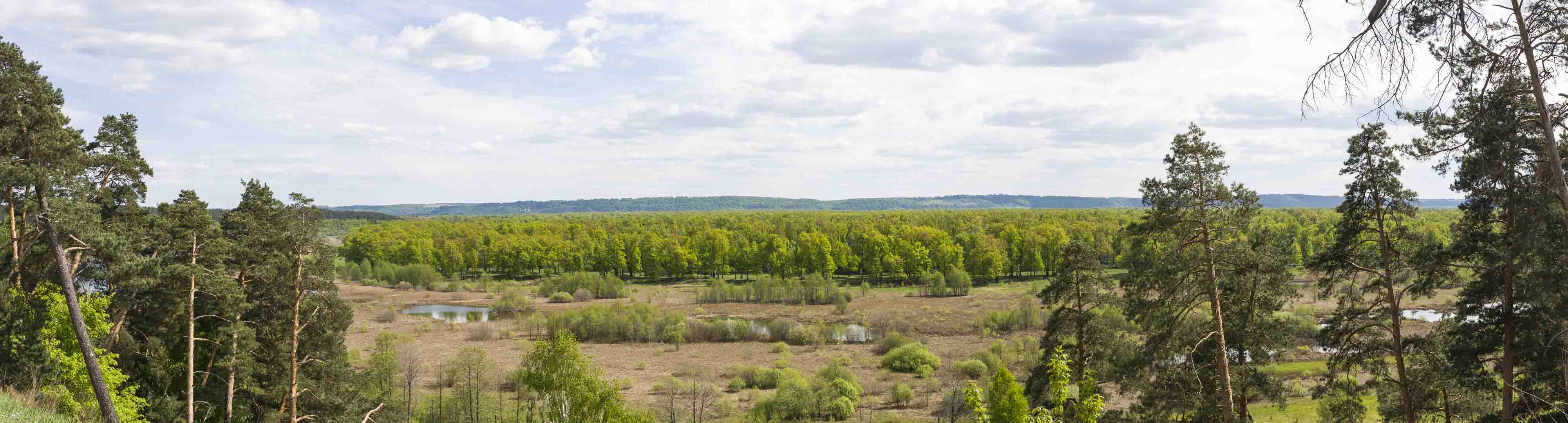 Scenic View near Oka River in Dzerzhinsk, Nizhegorodskaya Oblast – Russia
